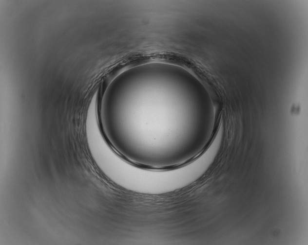 X0000113331348200909211210