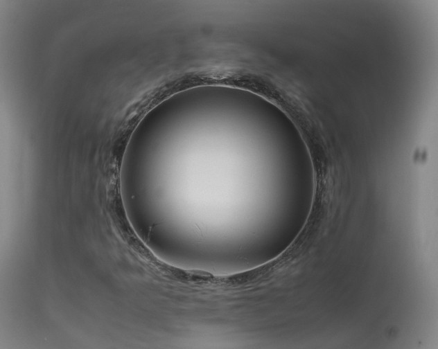 X0000113331349200909211210