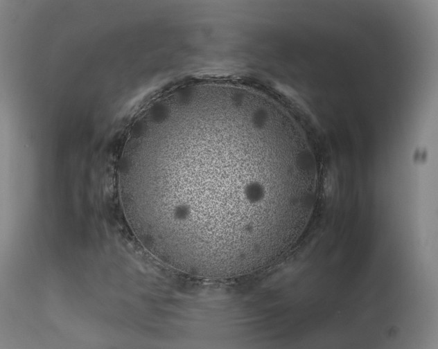 X0000113331350200909211210