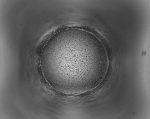 X0000113331351200909211210