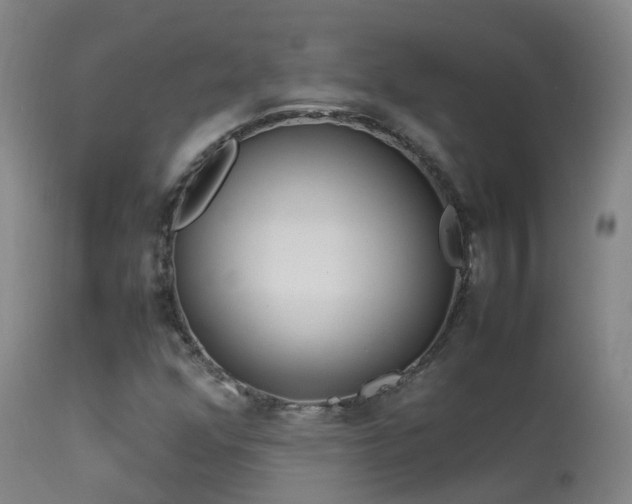 X0000113331352200909211210