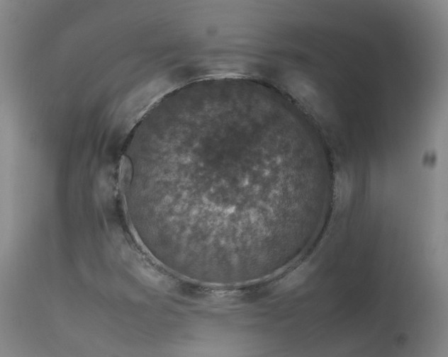 X0000113331353200909211210