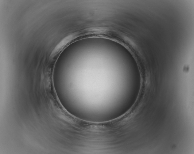 X0000113331354200909211210