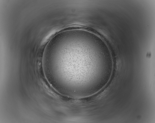 X0000113331355200909211210
