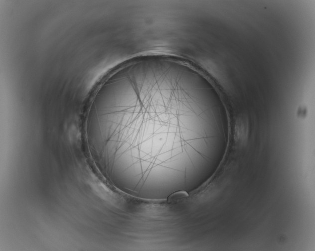 X0000113331356200909211210