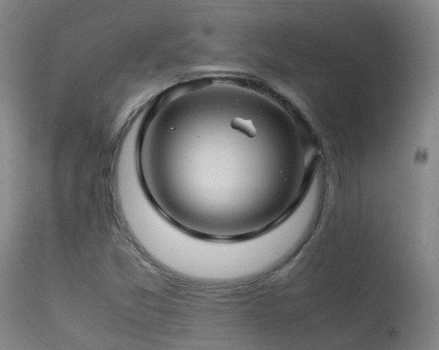 X0000113331357200909211210