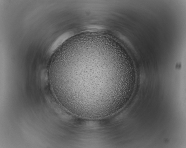 X0000113331362200909211210