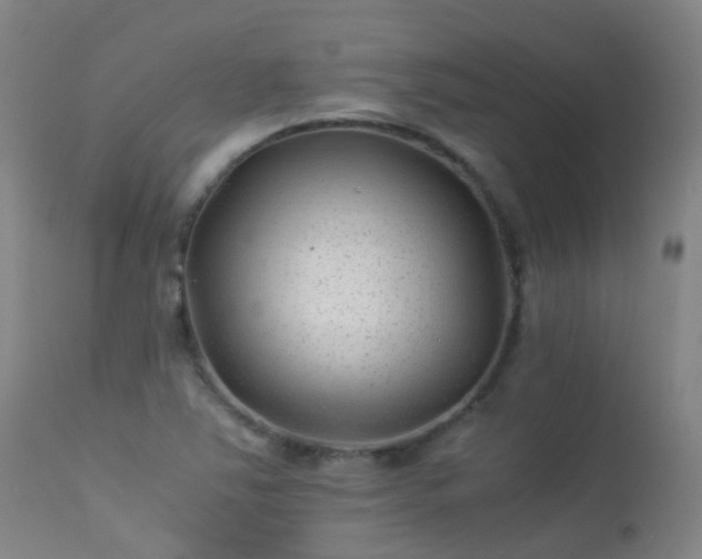 X0000113331363200909211210