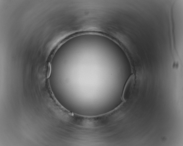 X0000113331364200909211210