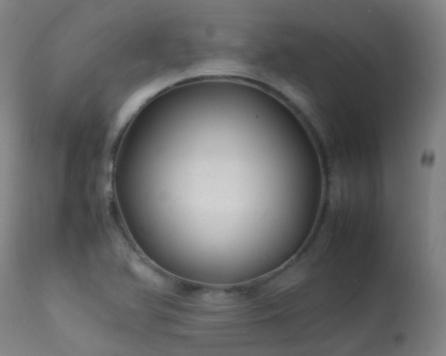 X0000113331366200909211210