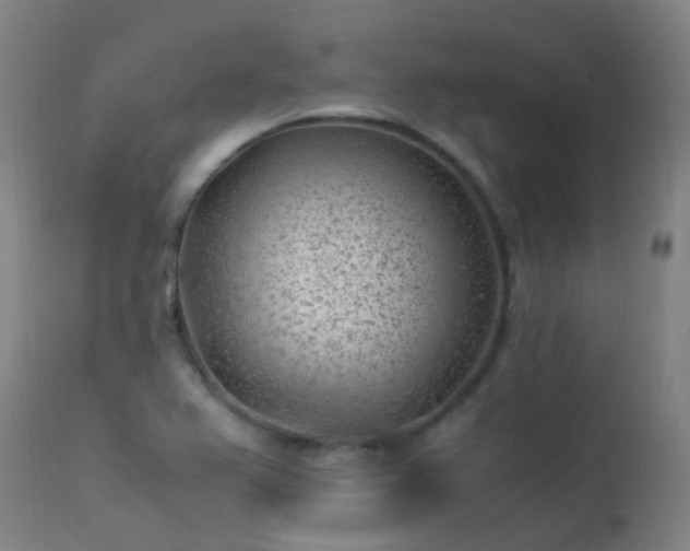 X0000113331367200909211210
