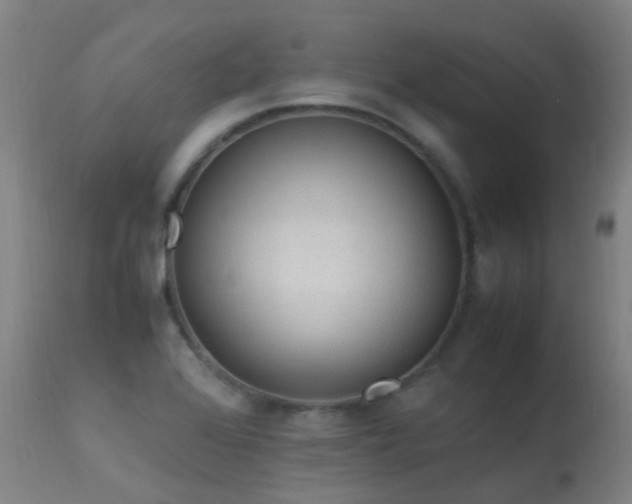 X0000113331368200909211210