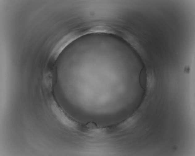 X0000113331369200909211210