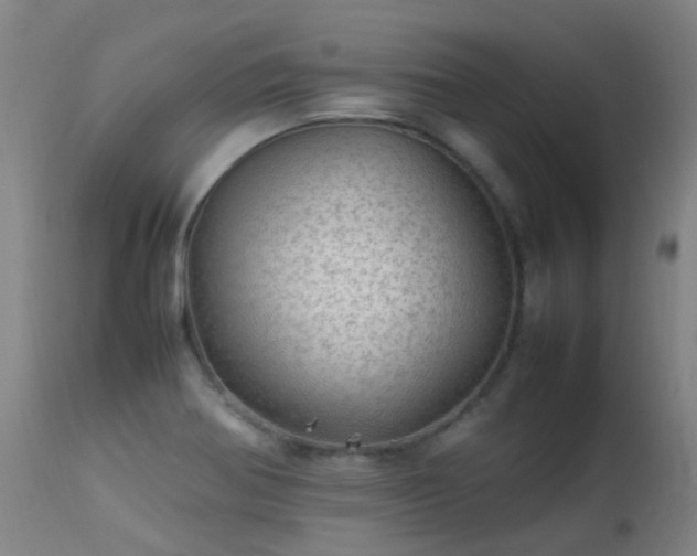X0000113331370200909211210