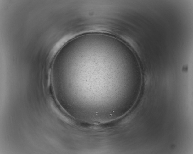 X0000113331371200909211210