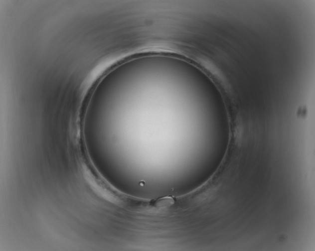 X0000113331372200909211210