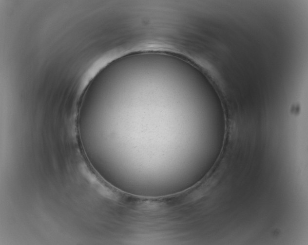 X0000113331374200909211210