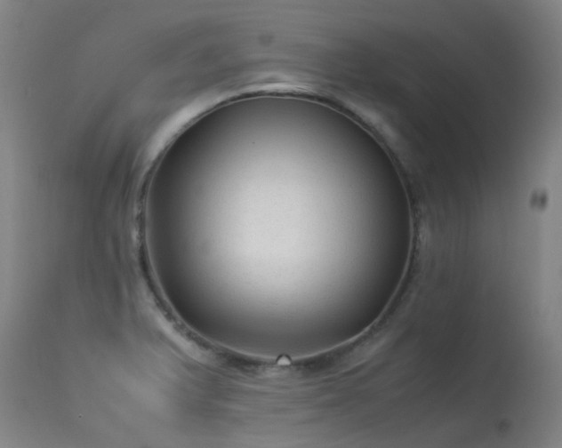 X0000113331375200909211210