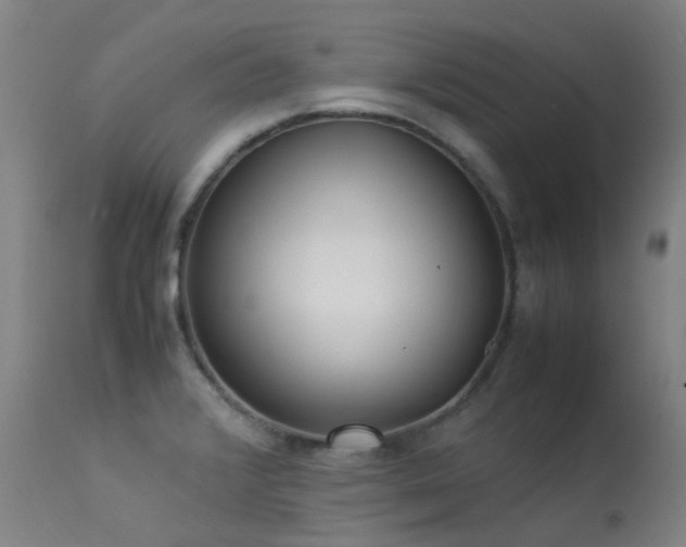 X0000113331376200909211210