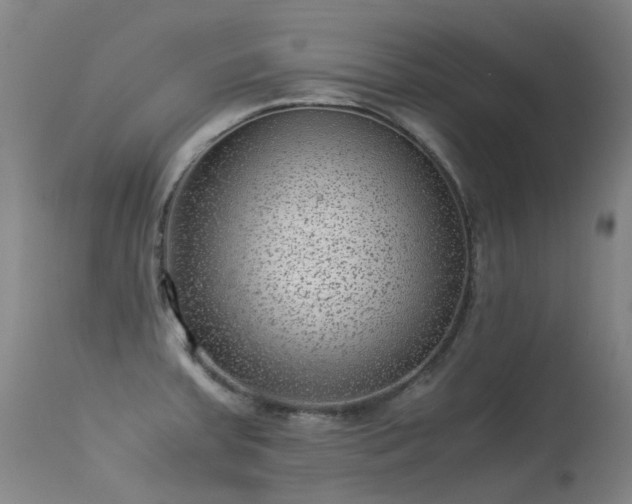 X0000113331379200909211210