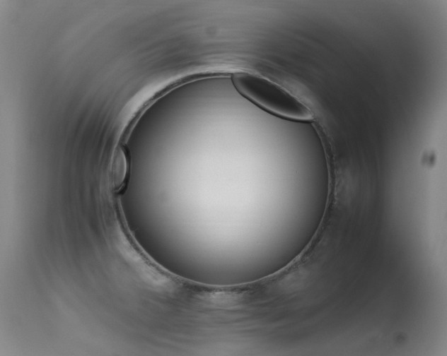 X0000113331380200909211210