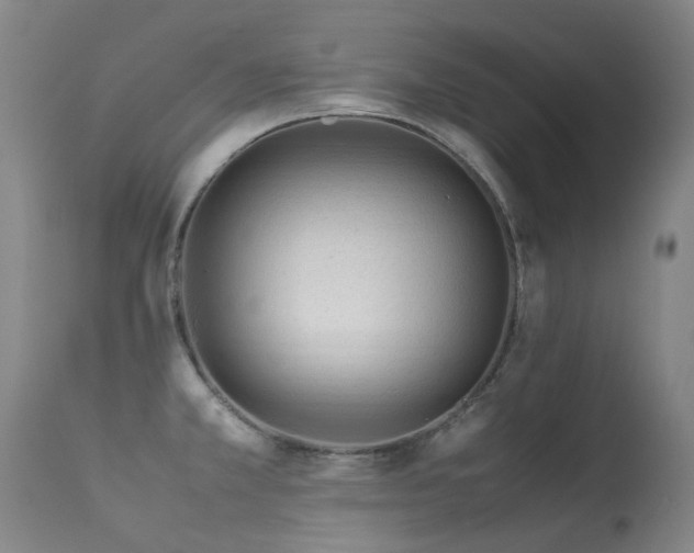 X0000113331381200909211210
