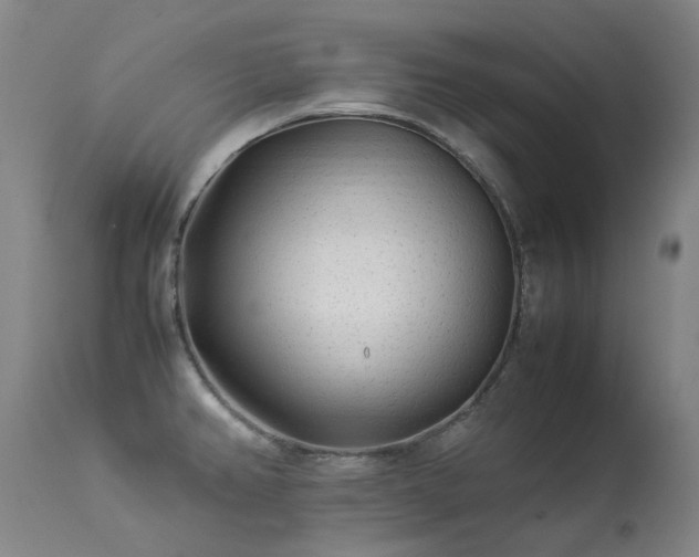 X0000113331382200909211210