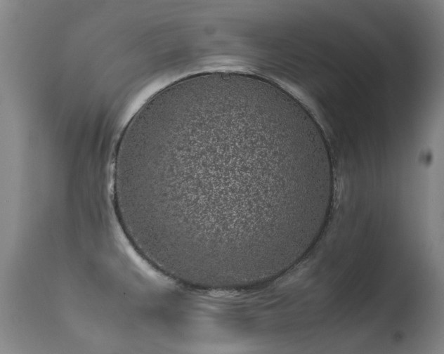 X0000113331383200909211210