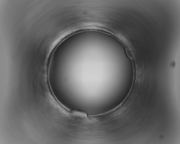 X0000113331384200909211210