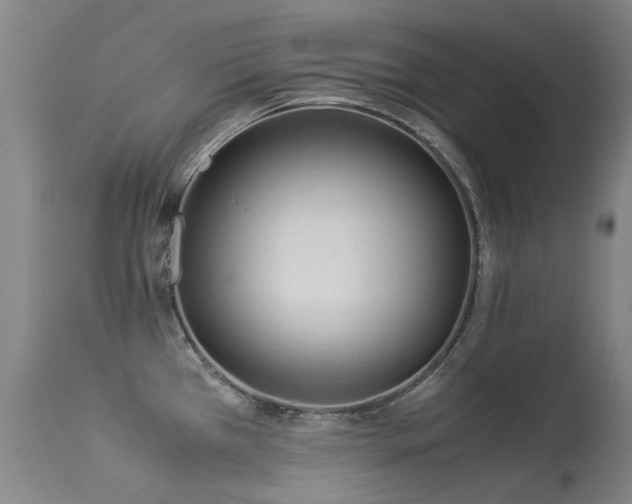 X0000113331385200909211210
