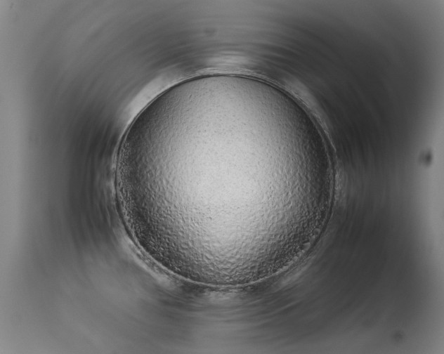 X0000113331386200909211210