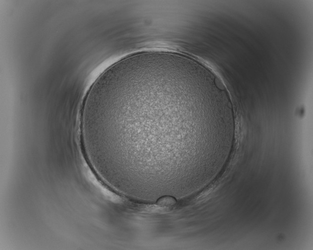 X0000113331387200909211210