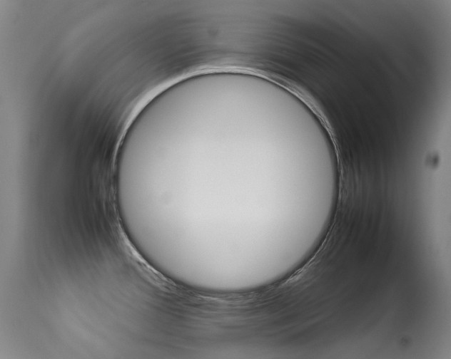 X0000113331388200909211210