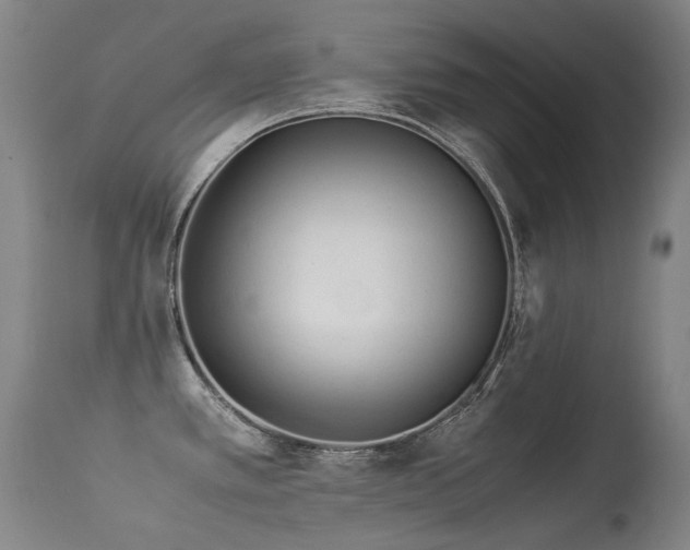 X0000113331389200909211210