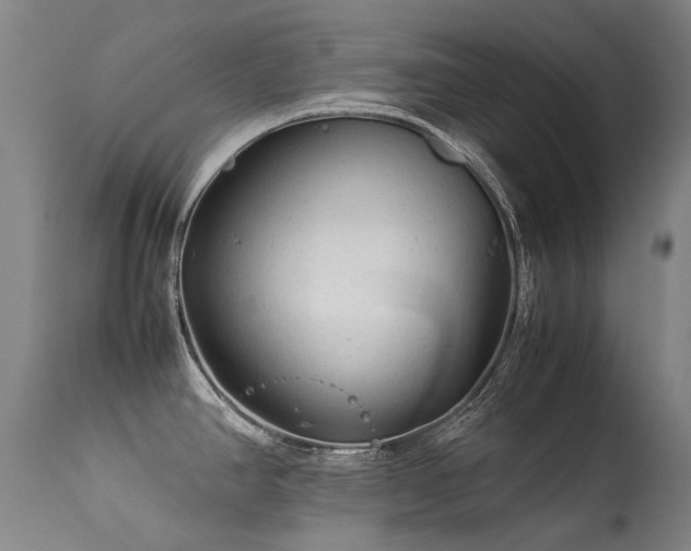 X0000113331390200909211210
