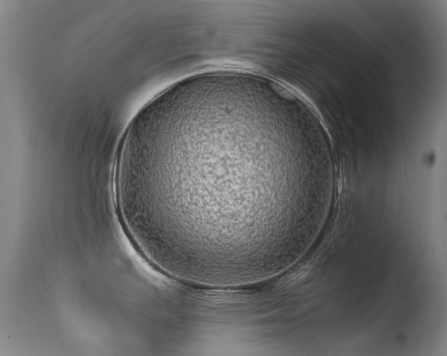 X0000113331391200909211210
