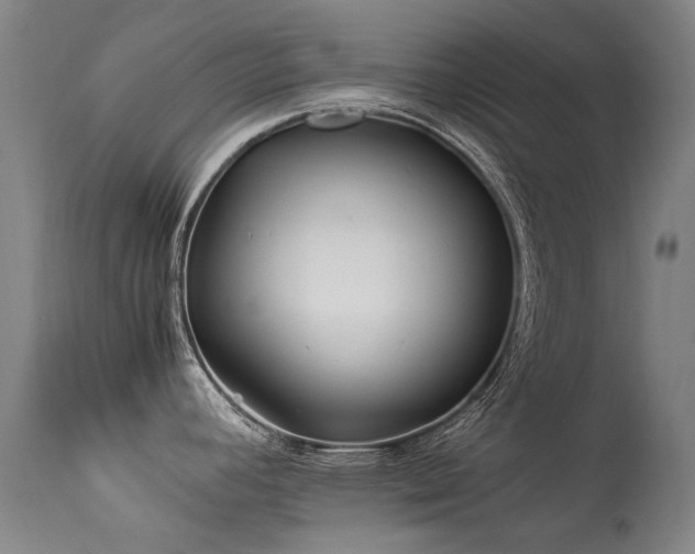 X0000113331392200909211210