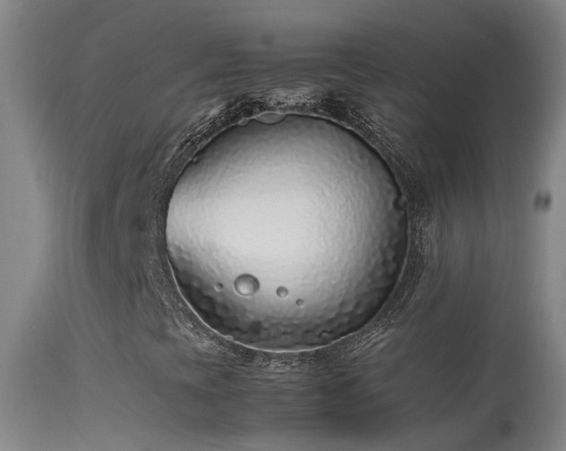 X0000113331393200909211208
