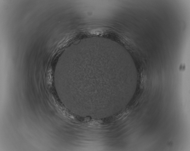 X0000113331394200909211209