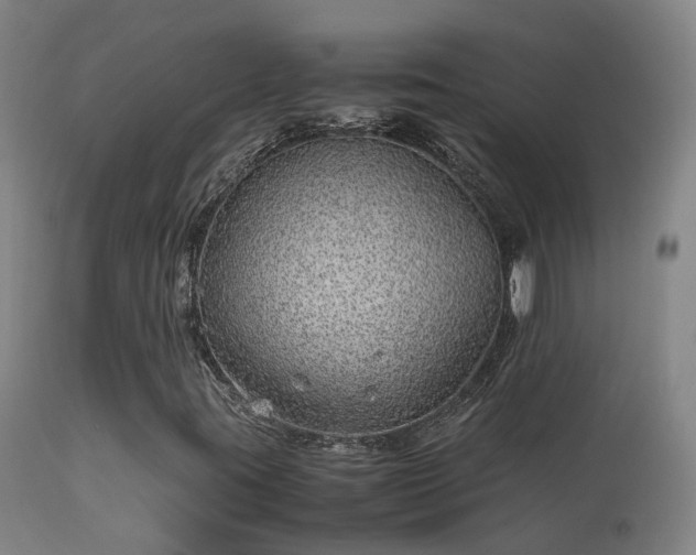 X0000113331395200909211209