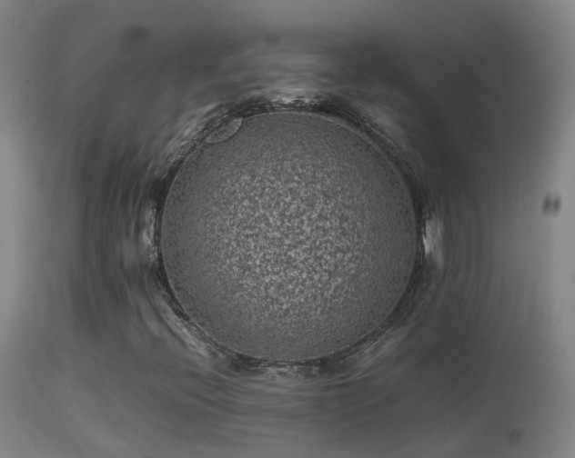 X0000113331396200909211209