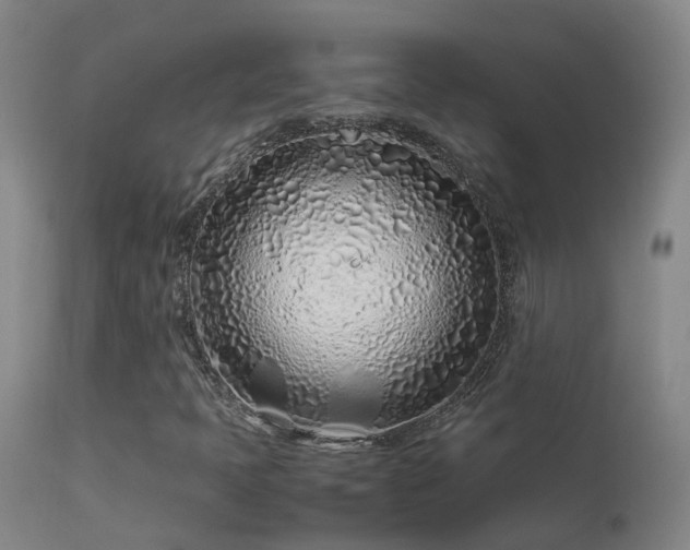 X0000113331397200909211209