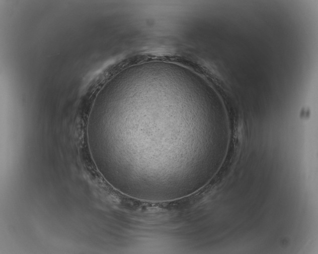 X0000113331398200909211209