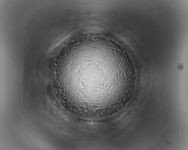 X0000113331399200909211209