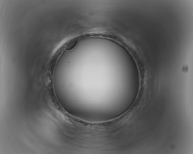 X0000113331400200909211209
