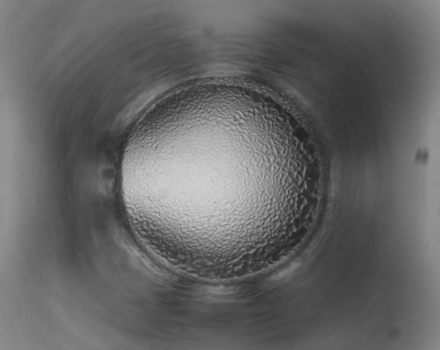 X0000113331401200909211209