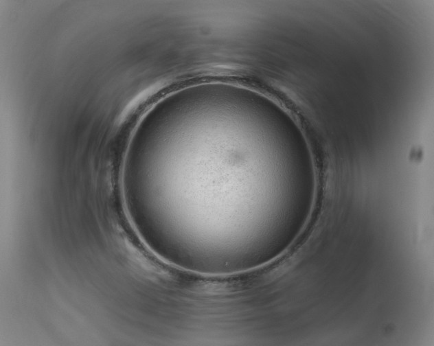 X0000113331402200909211209