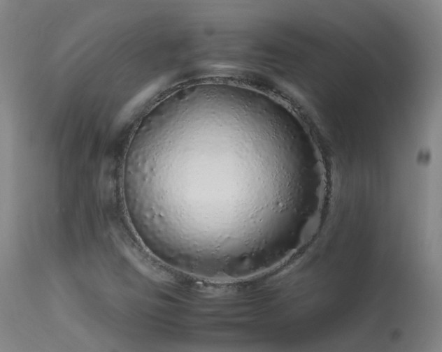 X0000113331403200909211209