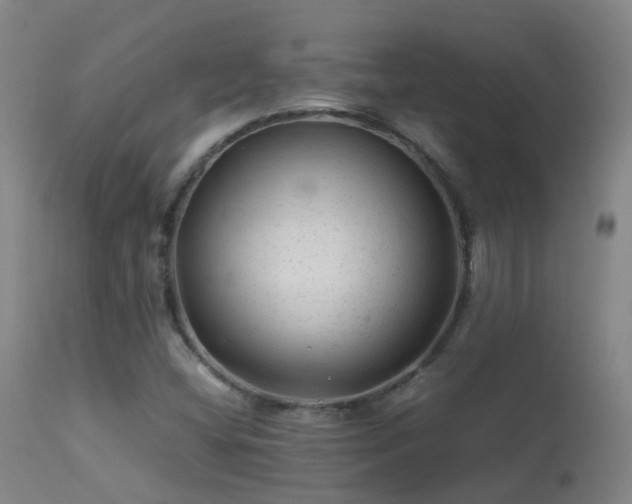 X0000113331404200909211209