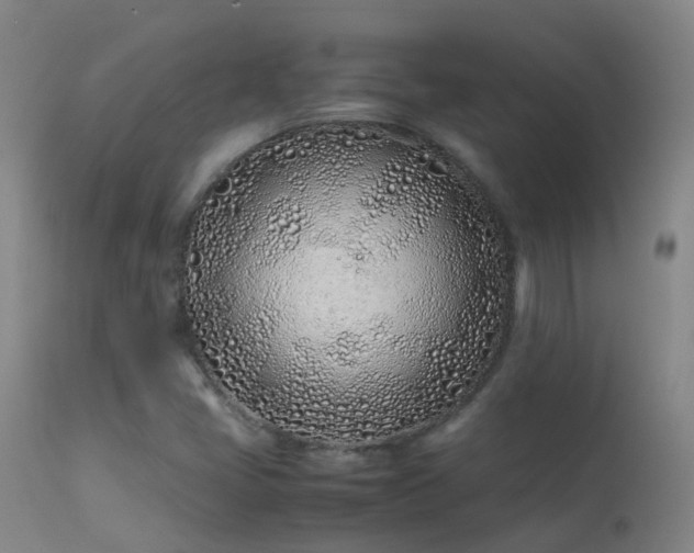 X0000113331405200909211209